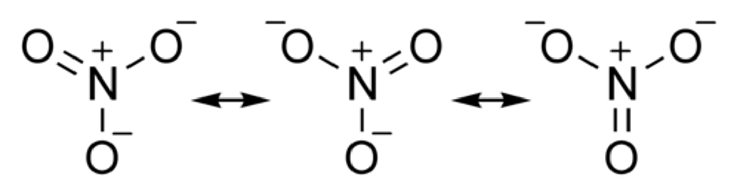 <p>nitrate has how many sigma and how many pi bonds?</p>