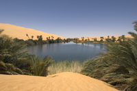 <p>Desert oasis </p>