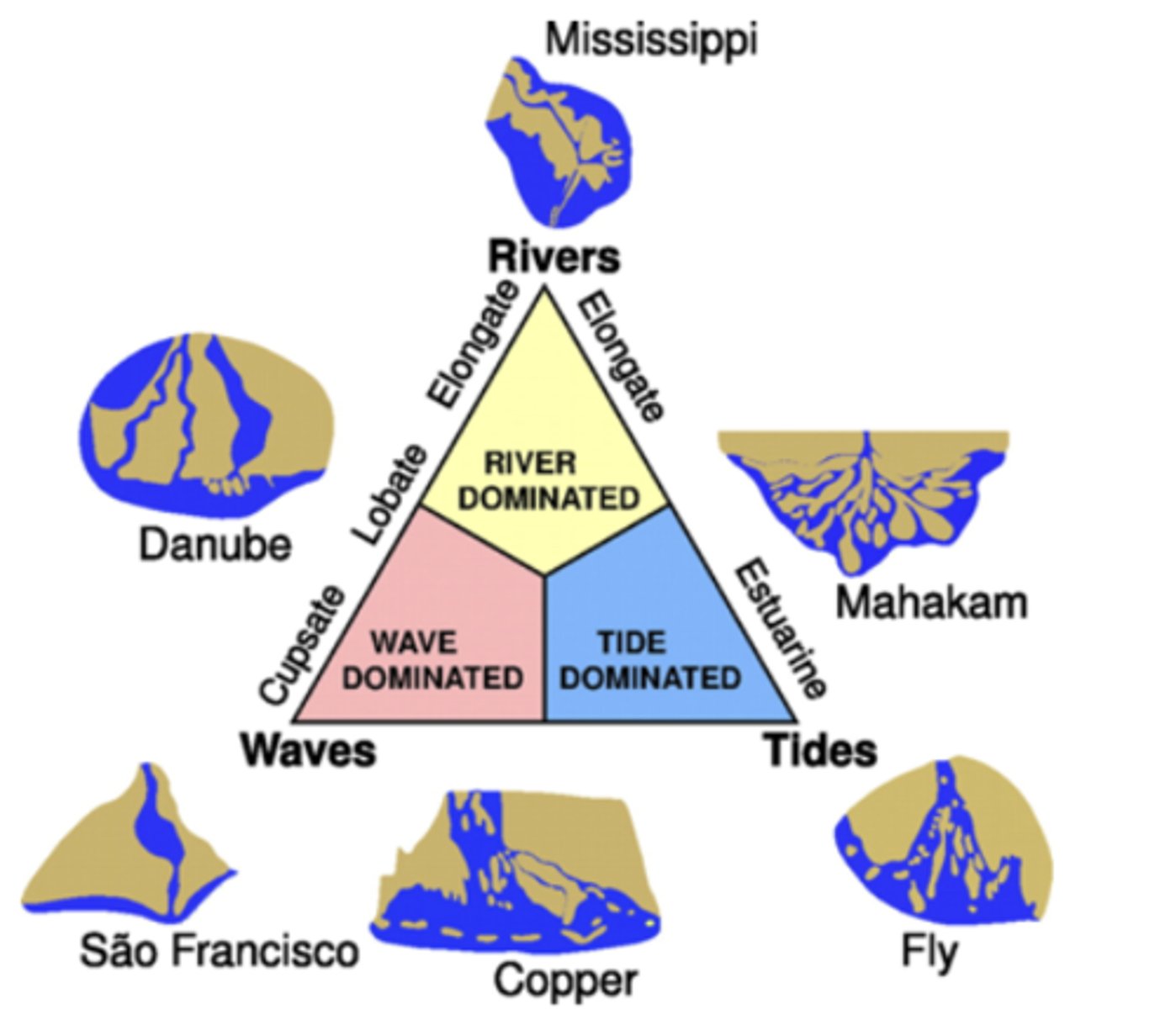 <p>river dominated</p><p>wave dominated</p><p>tide dominated</p>