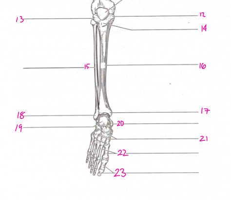 <p>What is number 21? </p>