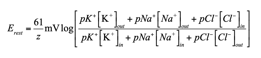 <p>What equation is this?</p>