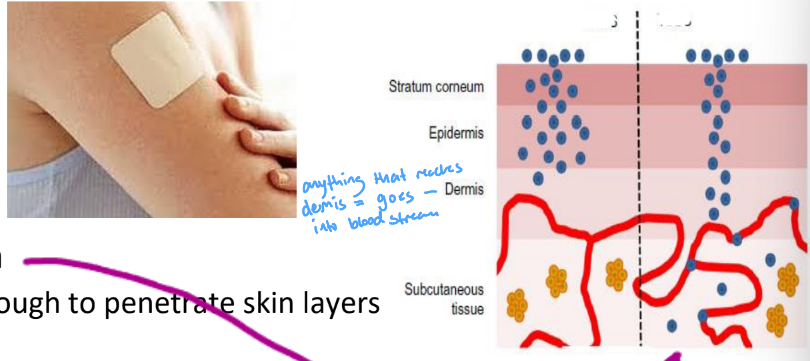 <p>1/11 Route of Administration</p><p>- med that's applied as a 'PATCH'</p><p>- dermal cap absorption: drug molecule must be small enough to penetrate skin layers</p><p>- SYSTEMIC effect</p><p>- longer acting: SLOW &amp; steady release &amp; absorption</p><p>- ex. nitroglycerine, nicotine, morphine patch, hormone treatment</p>