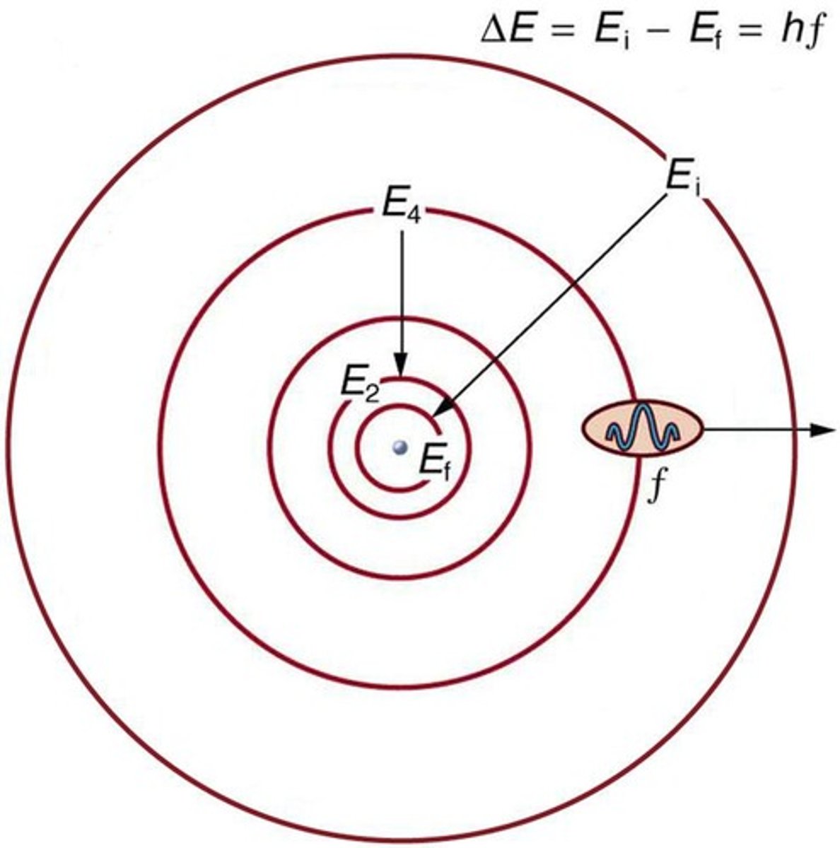 <p>Electrons can only revolve in certain allowed orbits, which are quantized.</p>