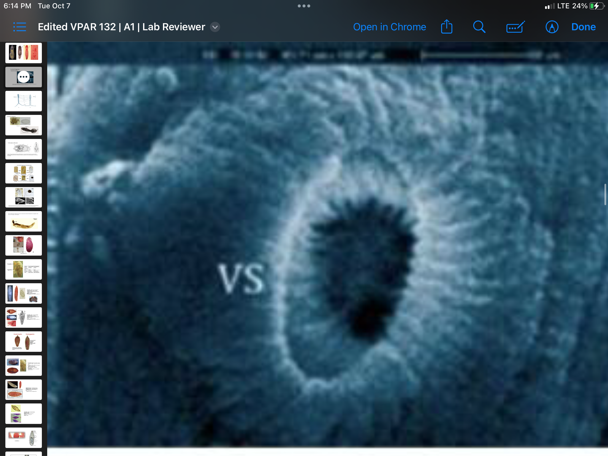 term image