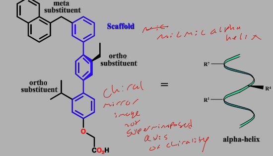 <p>Have a scaffold design that mimics backbone of an alpha helix</p><p>Substituents mimic AA residues at 1,4,7 residues of helix</p><p>Antagonist for calmodulin</p><p>Varying substituents varies target proteins </p>