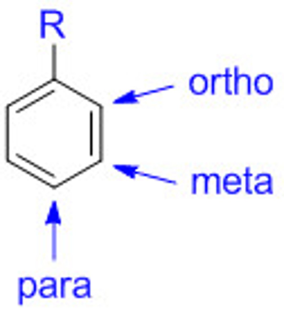 <p>Only ortho and para (carbons 2,4,6)</p><p>- NH2 (Amine)</p><p>- OH (Phenol)</p><p>- ROR (ester)</p><p>- R (Alkyl chain)</p><p>- Halogen</p>