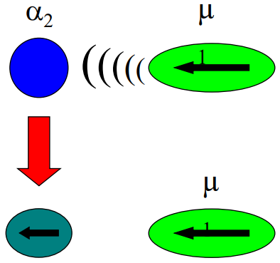 <p>What process is shown when the blue nonpolar molecule distorts near a green polar molecule?</p>