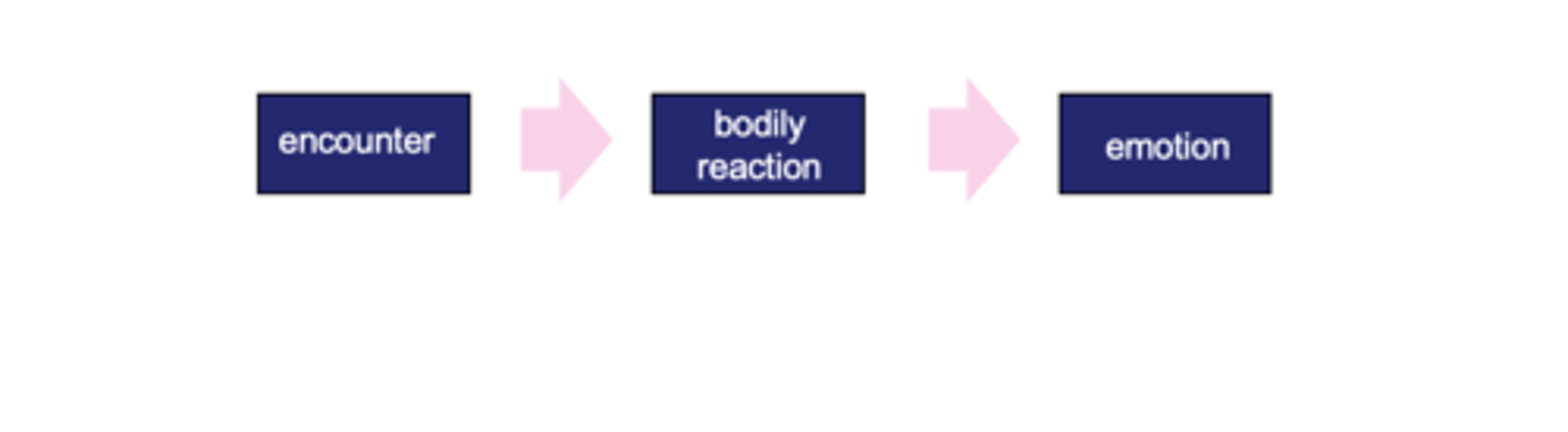 <p></p><p>Emotions are based on feedback of bodily changes. They are cognitive responses to information from physiology.</p><p>("We feel sorry because we cry, angry because we strike, afraid because we tremble")</p><p></p><p>it’s&nbsp;<span><strong><span>not</span></strong></span>&nbsp;the stimulus (the dog) that makes you feel the emotion. It’s the&nbsp;<span><strong><span>physical reaction</span></strong></span>&nbsp;(the racing heart) that makes you feel it.</p>