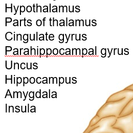 <p>The ____ system, made up of the structures listed below, is known as the emotional brain. <br><br></p>