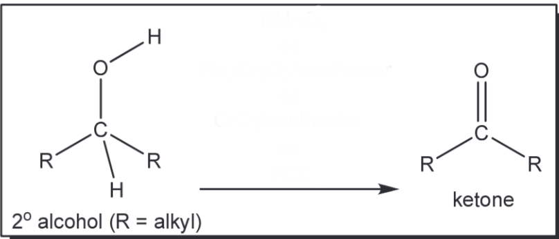 <p>Oxidation of 2 degree alcohol to a ketone</p>