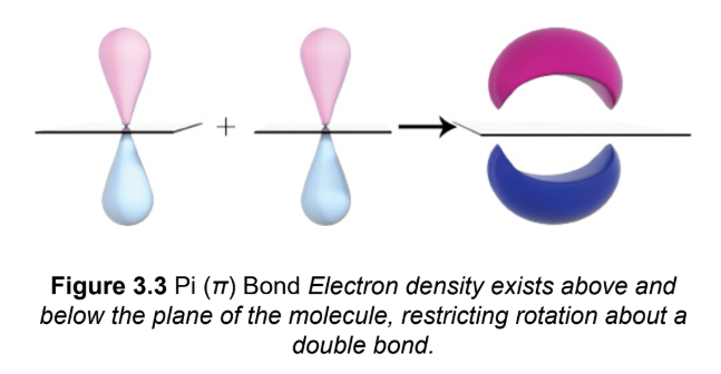 <p>two p-orbitals line up in a parallel (side-by-side) fashion and their electron clouds overlap in a bonding orbital ;cannot exist independently of a <em>σ </em>bond</p>