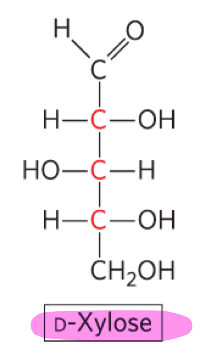 Biochem Chp 7 Flashcards | Knowt