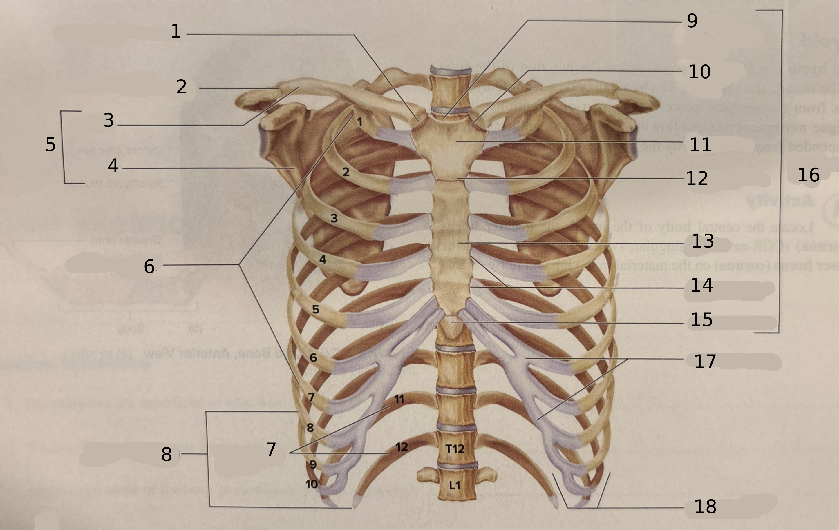 <p>#5</p>