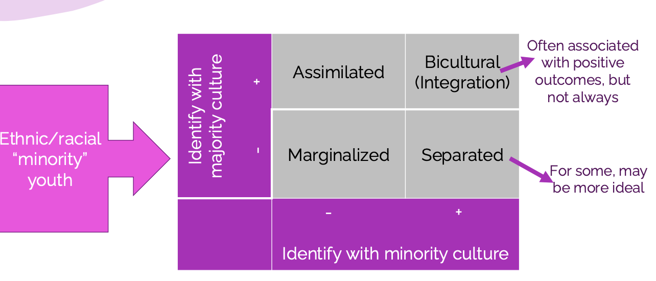 <p>minority youth and their indemnity with the majority culture</p><ul><li><p>assimilation</p></li><li><p>marginalized</p></li><li><p>bicultural (integration)</p><ul><li><p>associated with positive outcomes, but not always</p></li></ul></li><li><p>separated</p><ul><li><p>For some, may be more ideal</p></li><li><p>Especially for indigenous youth because dominant Canadian culture tries to erase your culture/heritage</p></li></ul></li></ul><p></p>