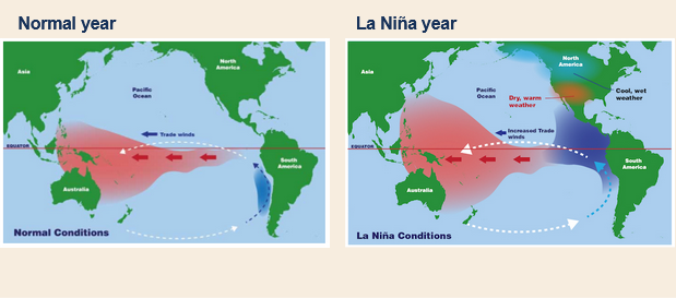 <ul><li><p><span>“Reverse of El Nino”</span></p></li><li><p><span>Coriolis effect contributes to conditions</span></p><ul><li><p><span>Air moves towards equator replacing rising hot air → moves surface water → upwelling</span></p></li></ul></li><li><p><span>Cooler than average surface temperatures off the tropical west coast of South America</span></p><ul><li><p>we have drier weather<span data-name="desert" data-type="emoji">🏜</span></p></li><li><p>Australia gets more rain<span data-name="cloud_with_rain" data-type="emoji">🌧</span></p></li></ul></li></ul><p></p>