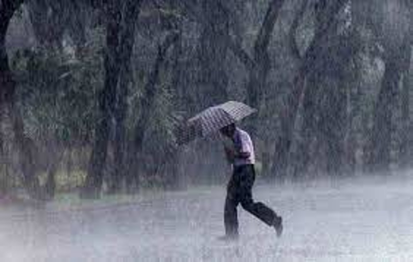 <p>(v.phr): mưa lớn</p>