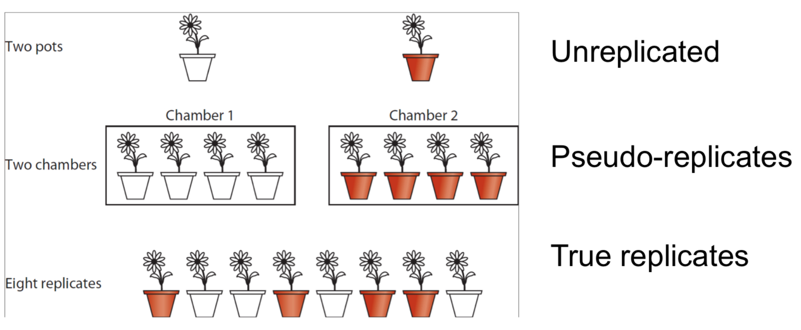 <ul><li><p>Carry out study on multiple independent objects</p></li></ul>