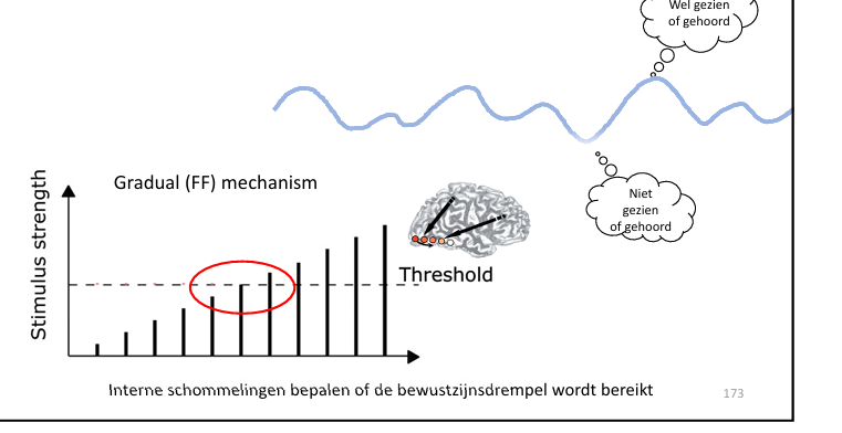 <p>1. Door de sterkte van de stimulus te verminderen (bijvoorbeeld door hem te maskeren) </p><p>2. Interne schommelingen in hersenactiviteit(arousal)of aandacht </p><p></p><p>interne modus van activatie, die schommelingen daarin, afh van die staat bepaalt hoe gevoelig je brein is voor die drempelwaarde</p>