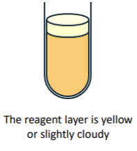 <p>what is the result of this tube in indole test?</p>