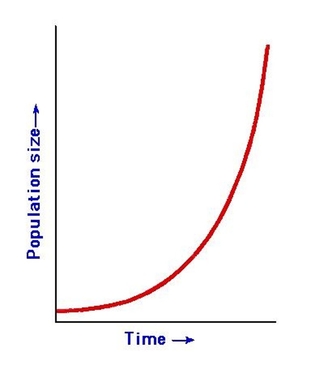 <p>Hypothetical exponential growth example of shrew population.</p>