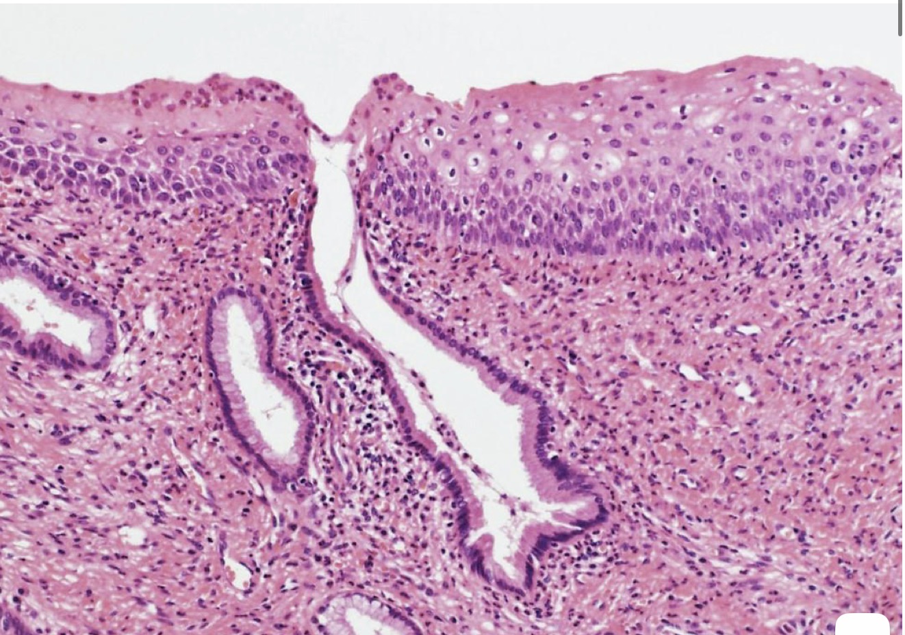 <p>A- identify </p><p>B- Describe </p>