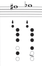 <p>Note name?</p>