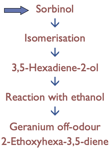 <ul><li><p>related to metabolism of sorbic acid by LAB</p></li><li><p>sorbic acid is reduced to sorbinol by Oenococcus </p></li><li><p>NOT pediococci or lactobacilli </p></li><li><p>low odour threshold: 100 ng/L </p></li><li><p>only in wine, as need ethanol </p></li><li><p>only add sorbic acid to wines with LAB is not expected </p></li><li><p>sensory threshold 100 ng/L</p></li></ul><p></p><p></p>