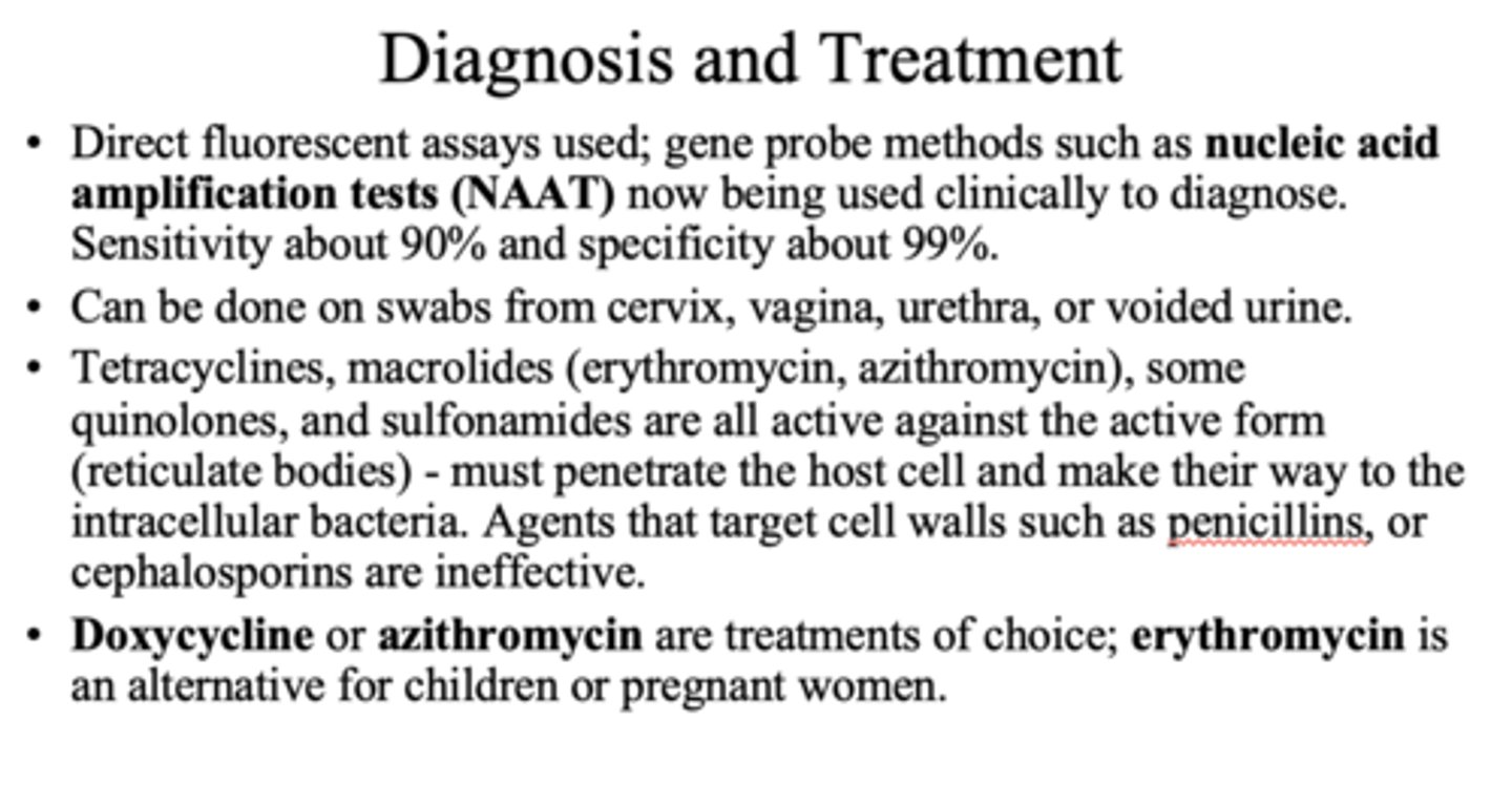 <p>nucleic acid amplification tests (NAAT)</p>