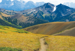 <p>pictorial depth cue</p><p>objects in the distance appear blurred and tinged with blue</p>