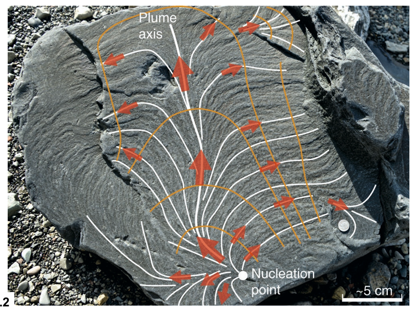 <p>characterized by feather-like markings that radiate from a point of origin on joint surfaces, indicating the direction of joint propagation. </p>