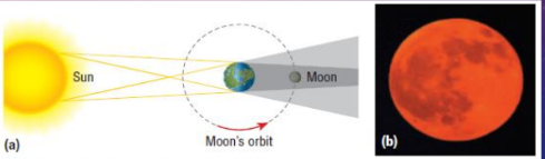 <p>Earth is positioned between the Sun and the Moon, casting a shadow on the Moon.</p>