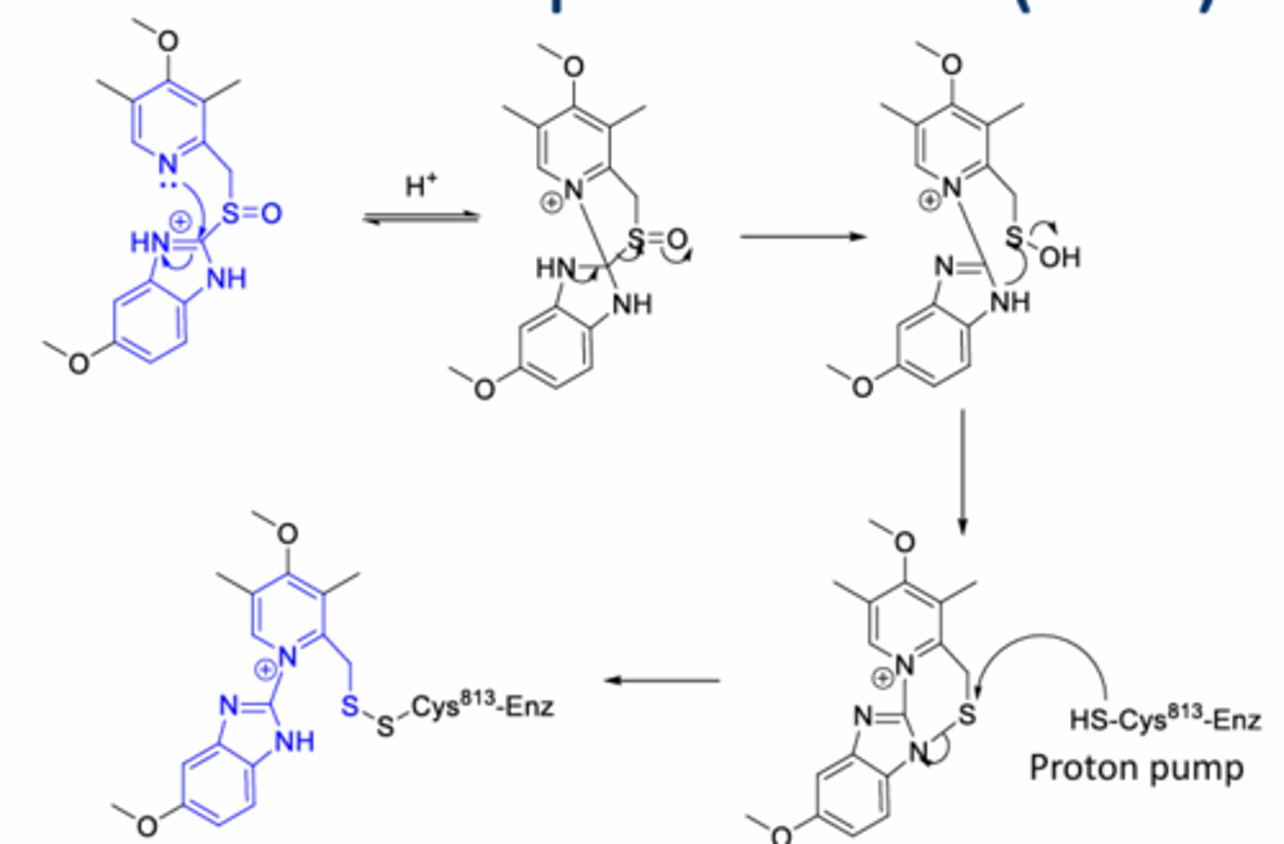 <p>What is the MOA</p>