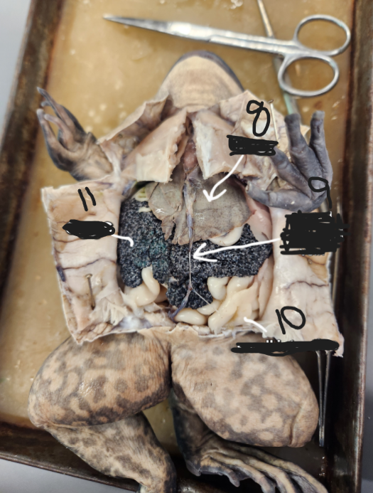 <p>What is option 9</p>