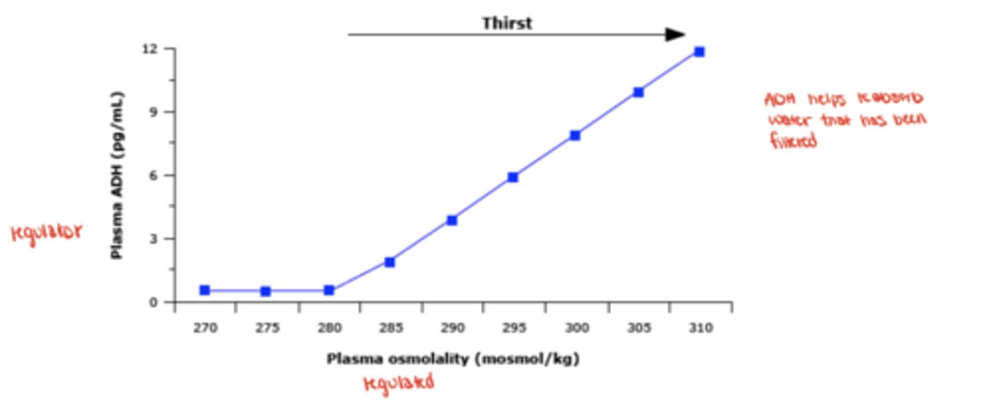 <p>ADH (vasopressin) and thirst</p>