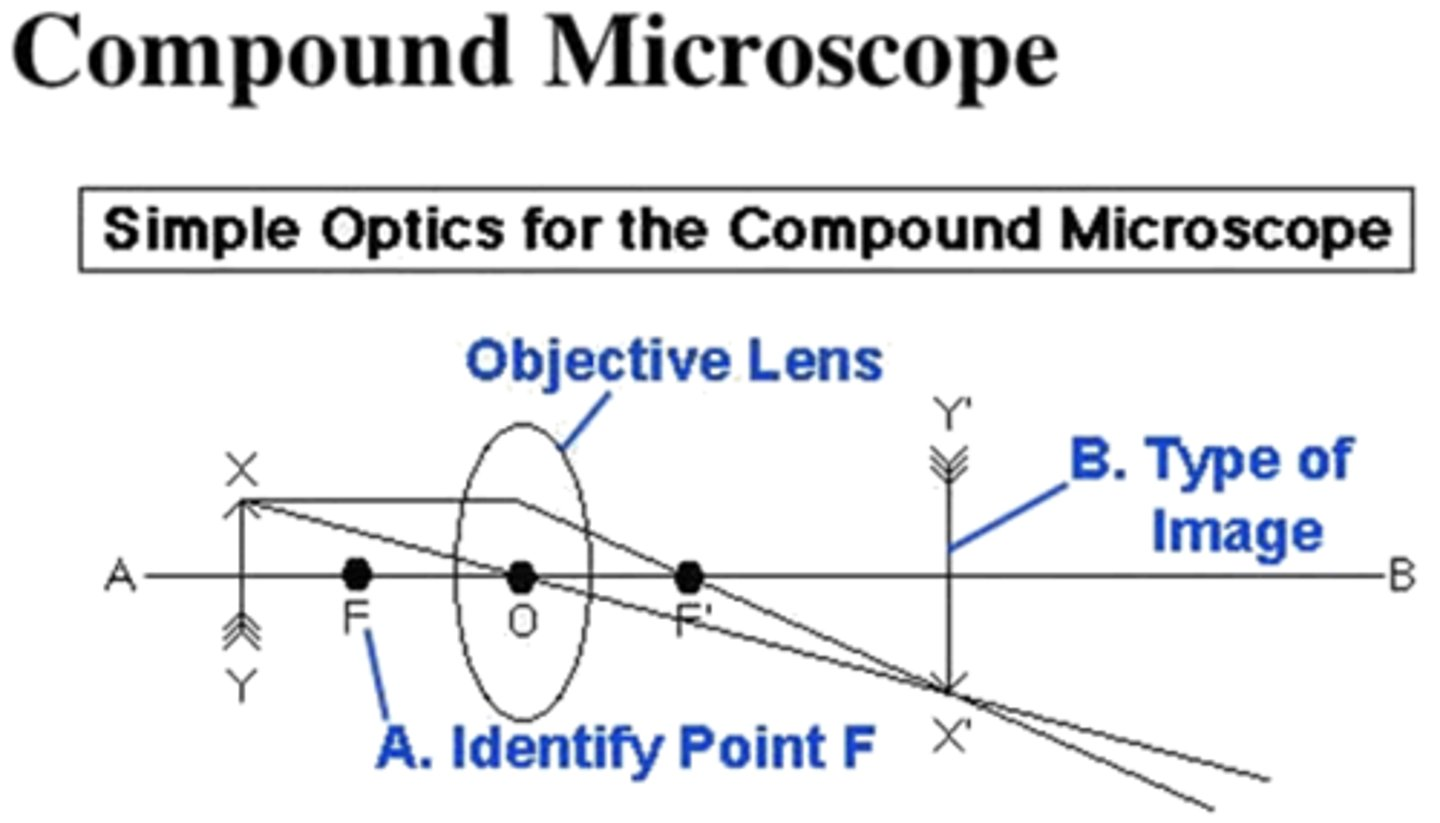 <p><strong>Answer Question B on the image below:</strong></p><p>1. real image</p><p>2. imaginary image</p><p>3. principle axis</p><p>4. optical center</p><p>5. object</p><p>6. focal point</p>