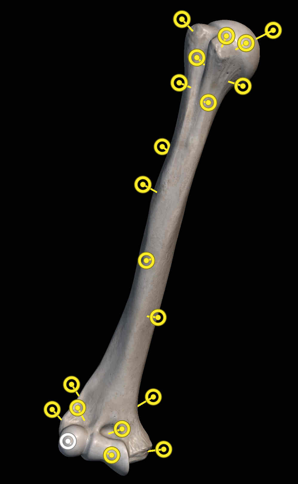 <p>Name the structure </p>
