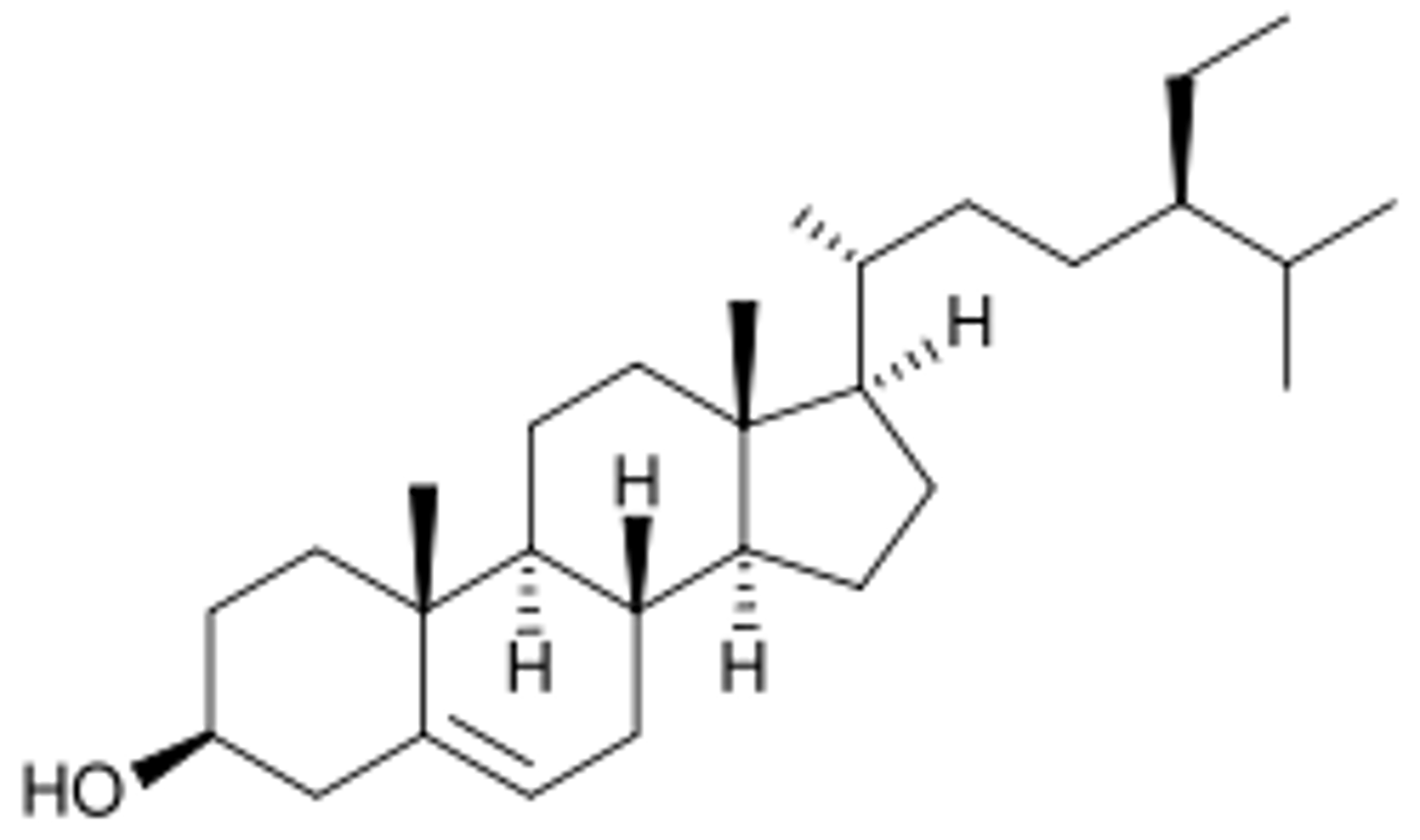 <p>are beneficial as they decrease cholesterol absorption from animal-based foods</p>