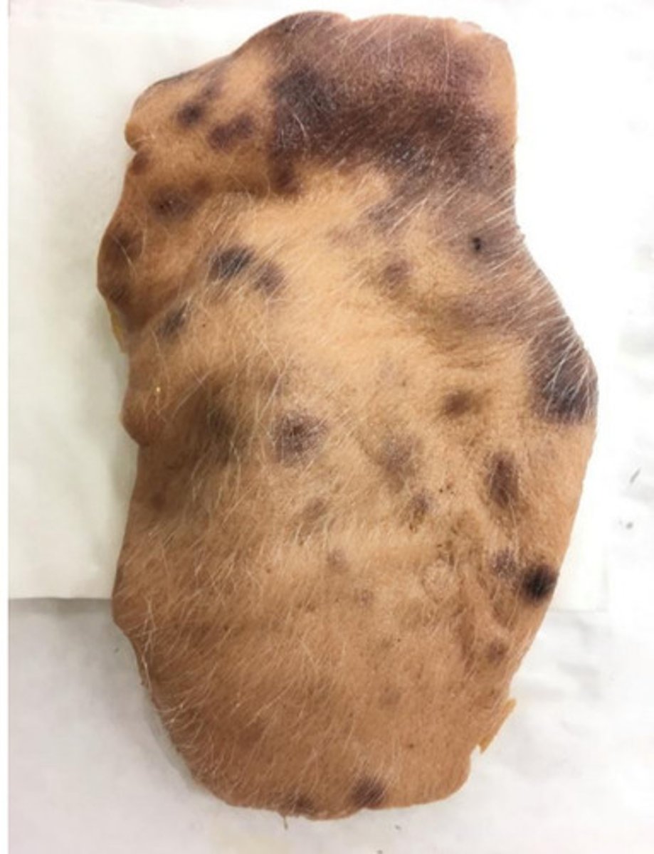 <p>What is pattern of distribution?</p>