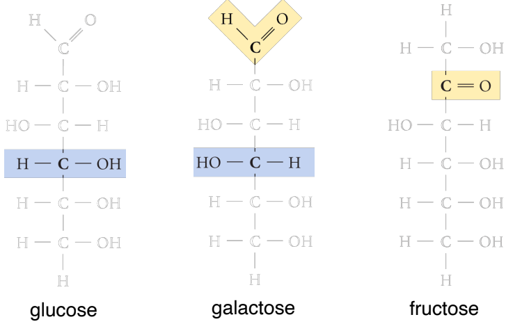 <p>glucose, galactose and fructose have same molecular formula (C6H12O6) but different structures</p>