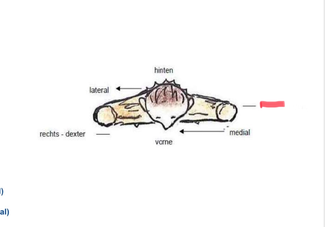 <p>Richtungsbeschreibung</p>