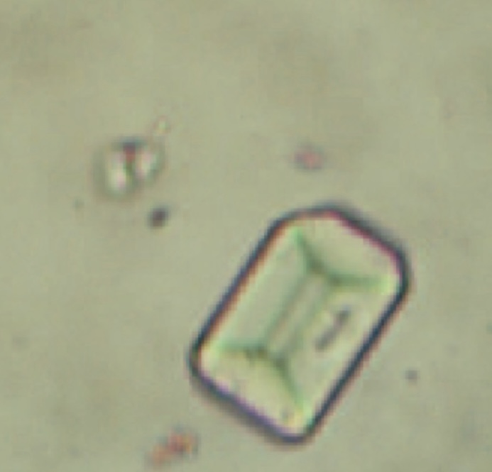 Identify this crystal.