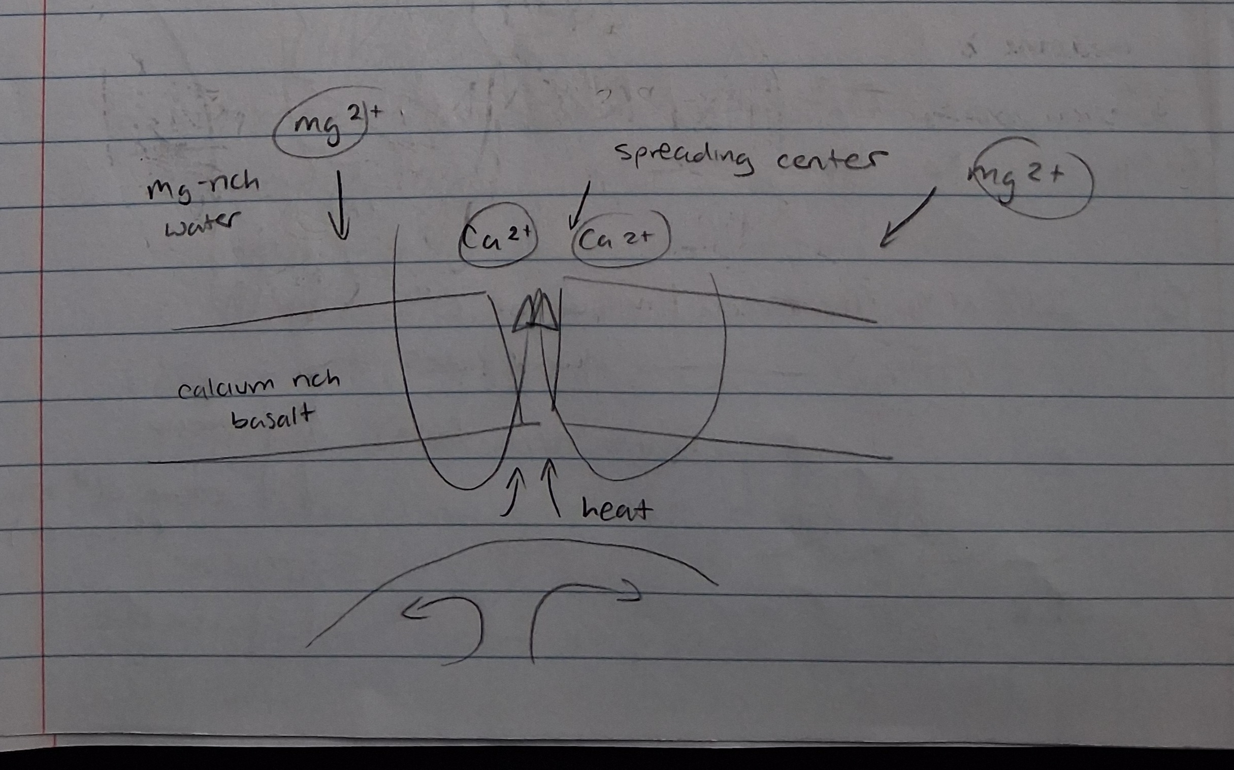 <p>Fast vs. slow seafloor spreading rates (effect on Ca/Mg ratio)</p>