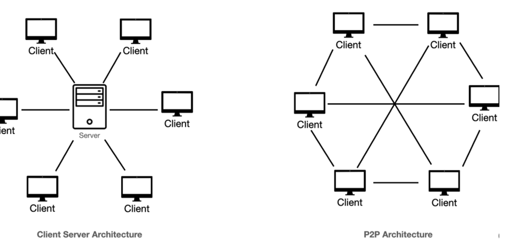 <p><strong>Client Server Architecture</strong> and <strong>Peer to Peer (P2P) Architecture</strong>.</p>