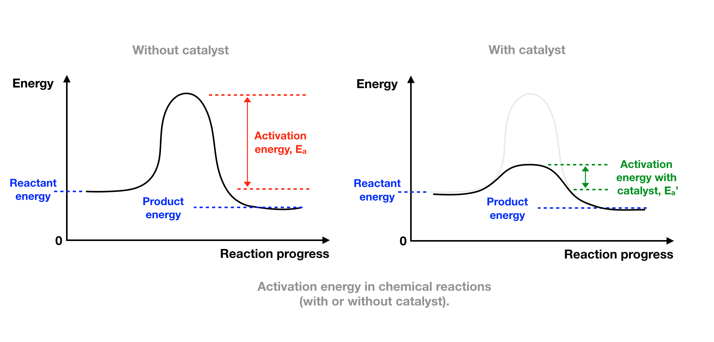 <p>The initial investment of energy required to start a chemical reaction; the energy required to contort the reactant molecules so bonds can break.</p>