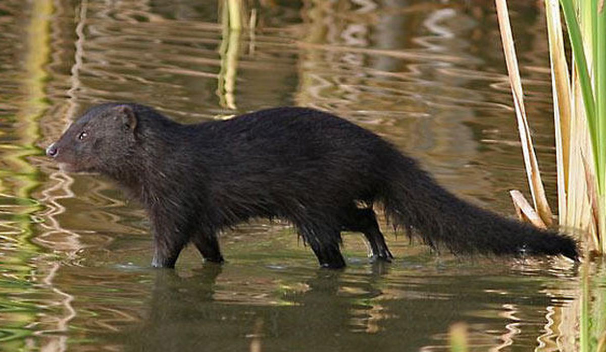 <p>Orange river, Cape Town, Kruger NP</p>