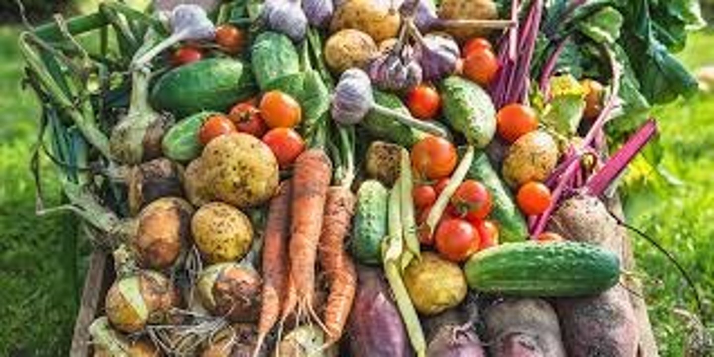 <p>? (grow vegetables, flowers, 012)</p>