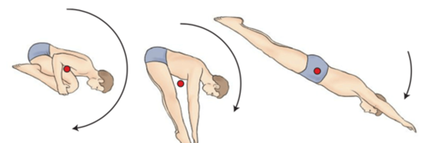 <p>Which diver has the slowest angular velocity?</p>