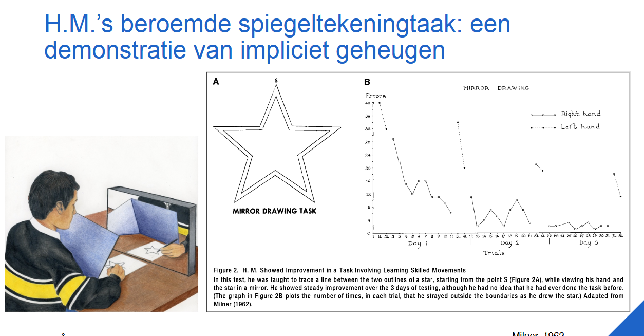 <ul><li><p>geen vorming van nieuwe langetermijnherinneringen</p></li><li><p>werkgeheugen (kortetermijngeheugen) bleef intact → maar slechts 20-30 seconden</p></li><li><p>herinneringen van vóór operatie bleven behouden, maar recente gebeurtenissen niet meer herinneren</p></li><li><p>algemene intelligentie bleef onaangetast (IQ-score van 112)</p></li><li><p>nog steeds mogelijks om nieuwe motorische vaardigheden te leren (impliciet geheugen), maar kon zich daar niets van herinneren (expliciet geheugen)</p></li></ul><p></p>