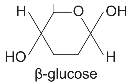 <p><span>H is BELOW carbon 1</span></p>