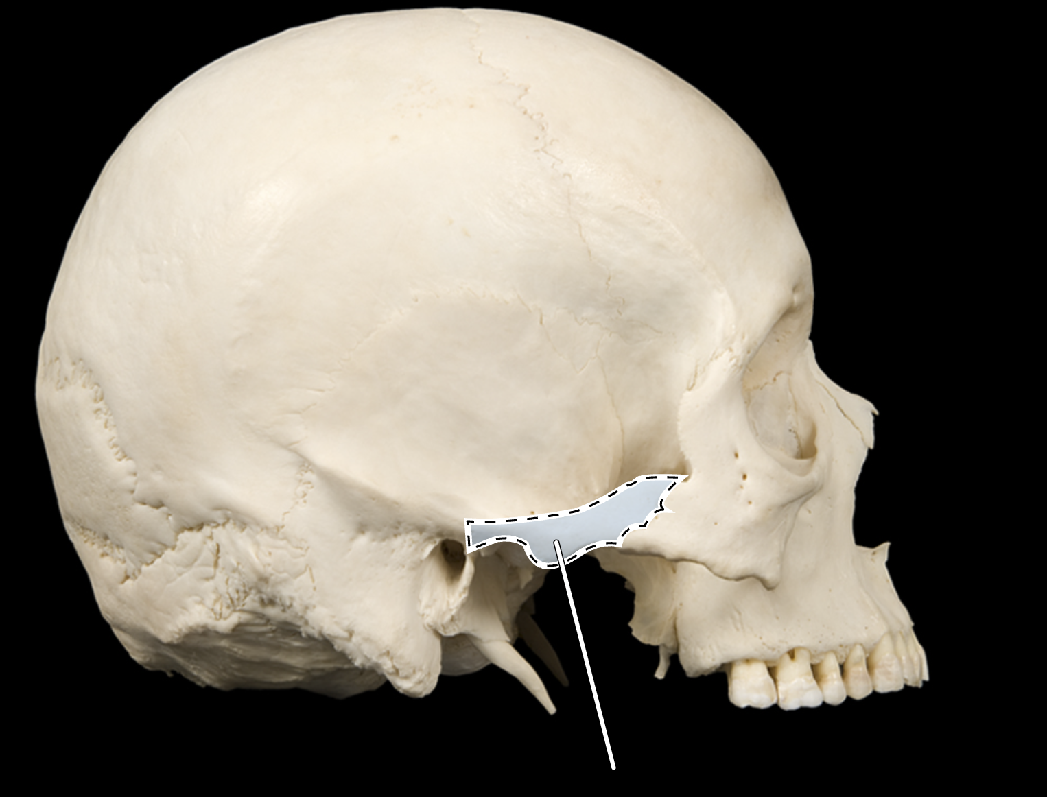 <p>?</p>